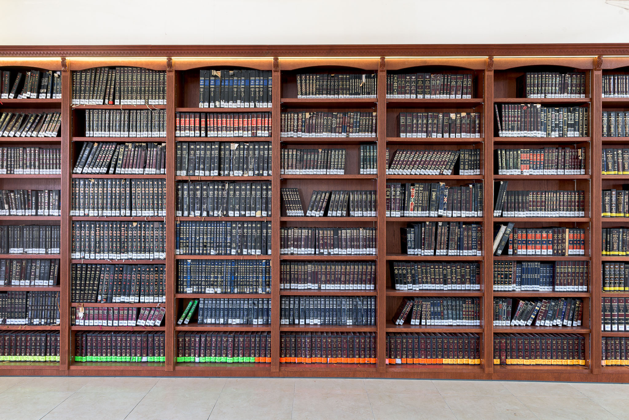 Photo by Itai Aviran